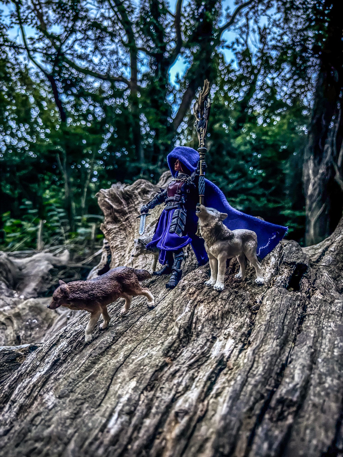 Long Hooded Cape – Polywool with Embroidery