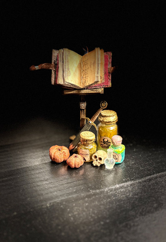 “The Forgotten Shelf" – Alchemist & Library Diorama Set